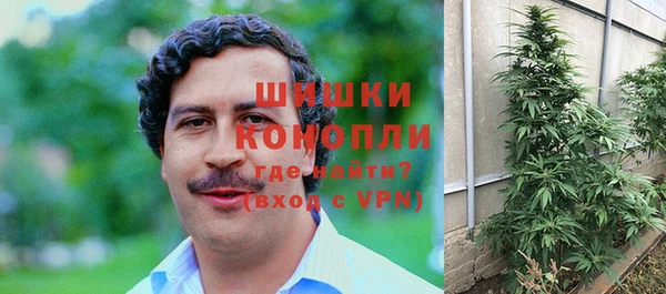 ECSTASY Лиски