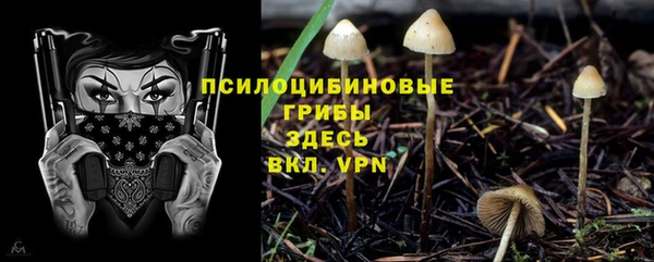 метадон Магас